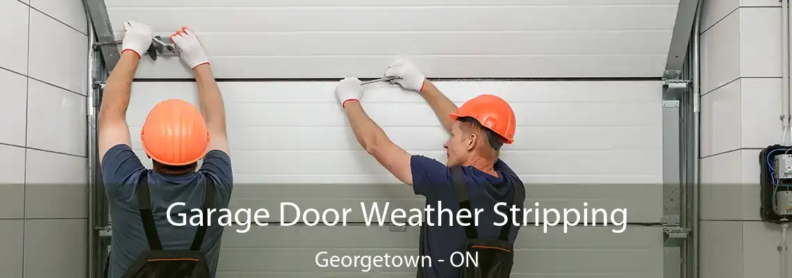 Garage Door Weather Stripping Georgetown - ON
