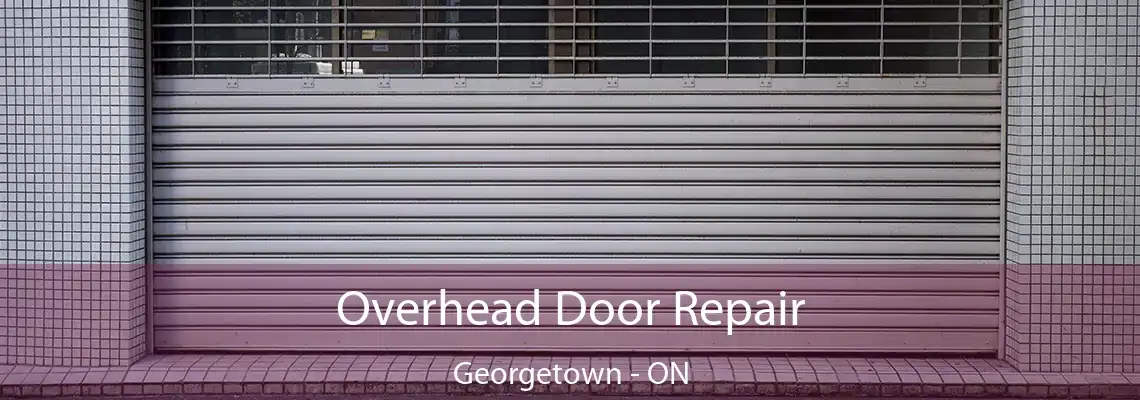 Overhead Door Repair Georgetown - ON